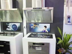 家麗雅亮相2010順德家電展 廚衛家電引領智能生活新風尚